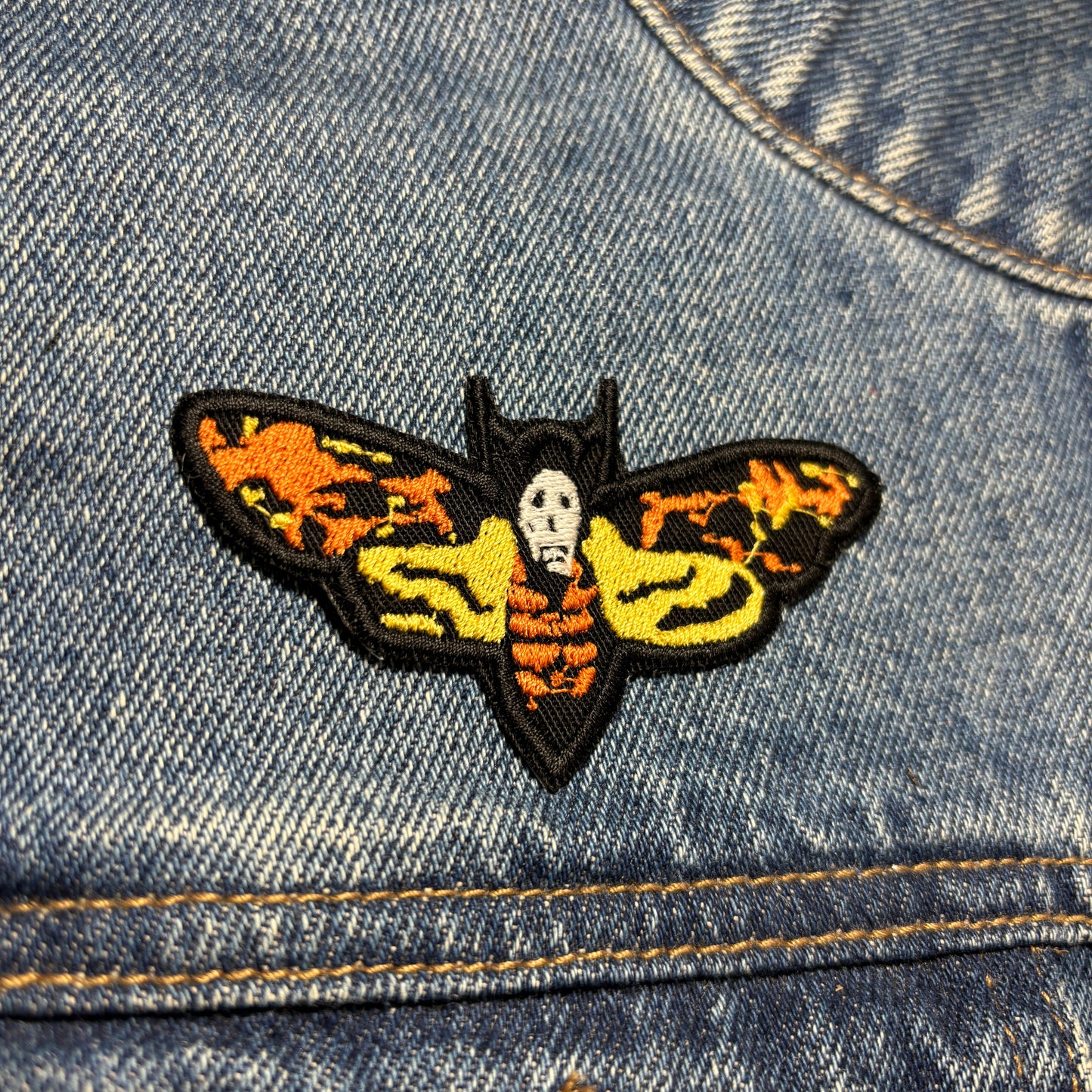 Moth